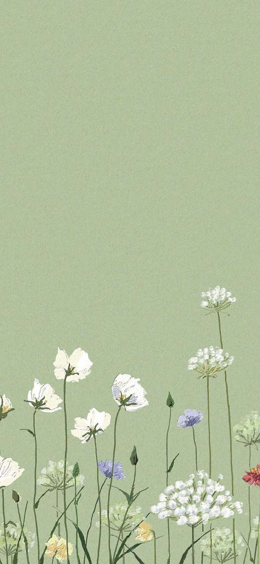 Sage Green Floral Aesthetic Wallpaper Wallpaper