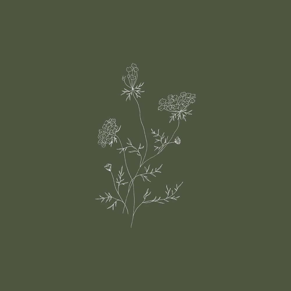 Sage Green Floral Sketch Art Wallpaper