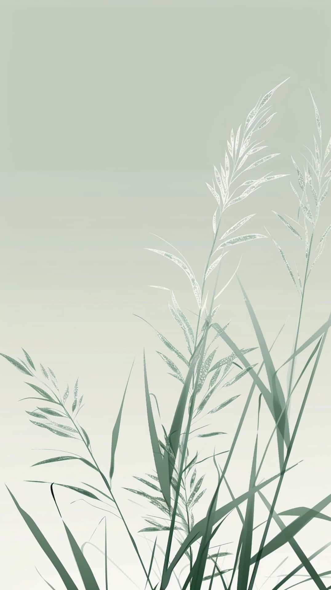 Sage Green Grass Background Wallpaper
