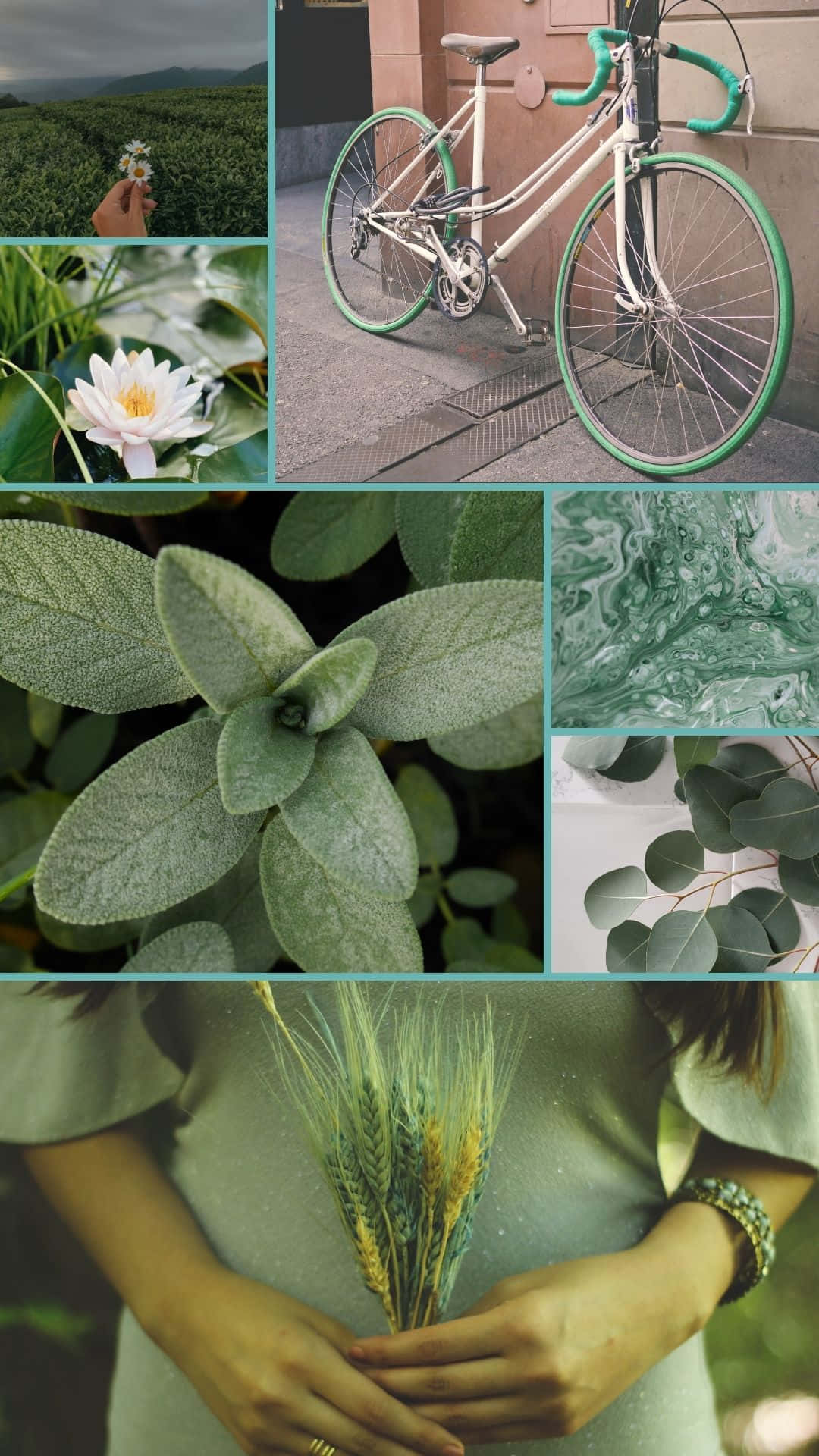 Sage Green Inspiration Collage Wallpaper