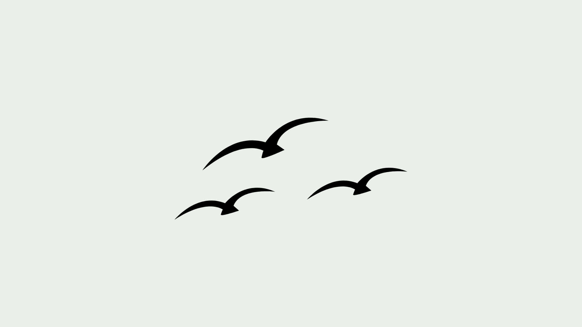 flying bird wallpaper draw
