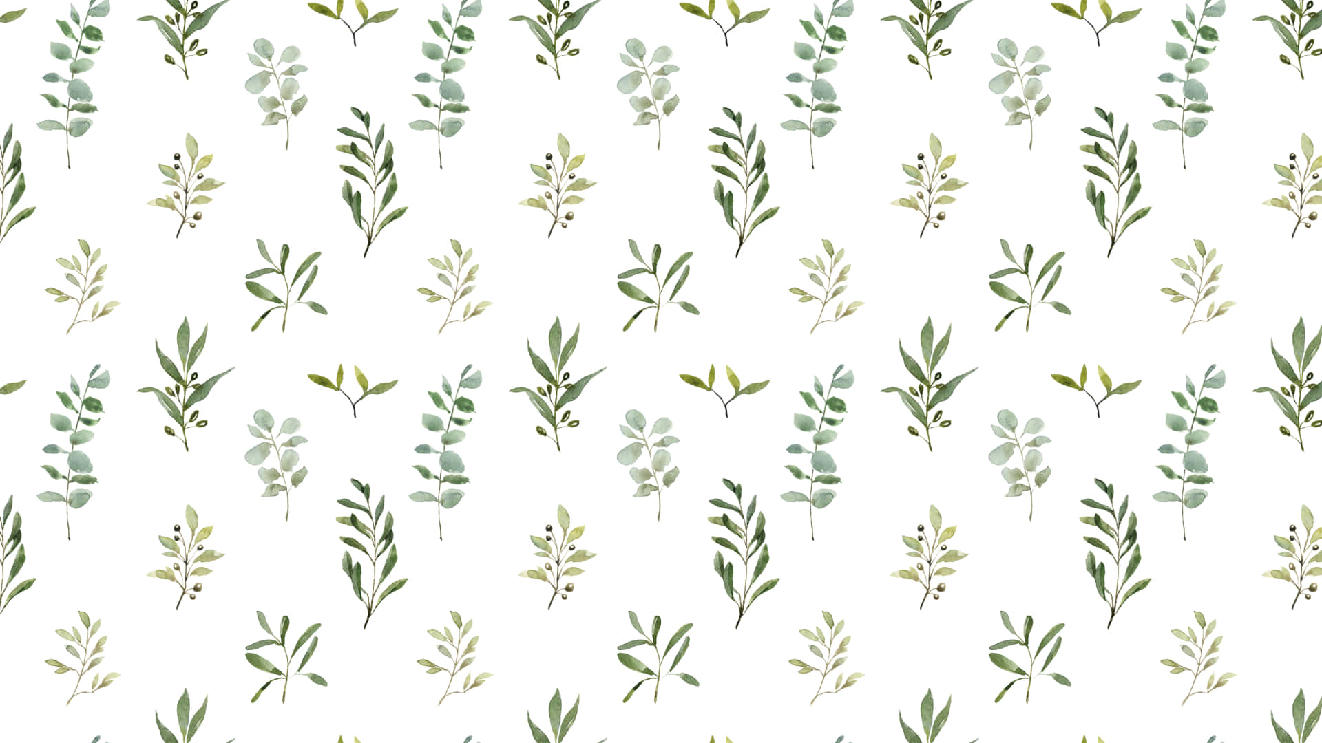 SHOP OUR GREEN WALLPAPER SAGE GREEN  EMERALD GREEN  OLIVE