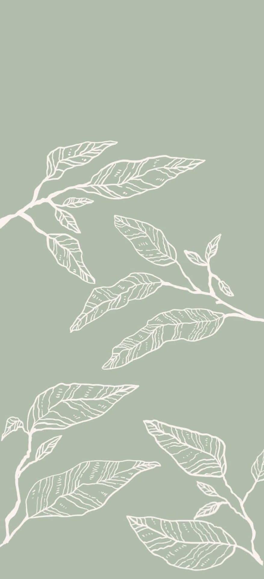 Sage Green Leaf Pattern Phone Wallpaper Wallpaper