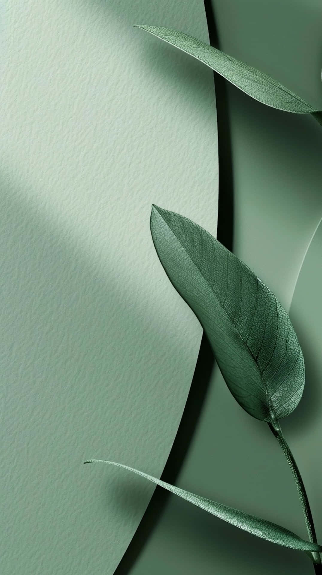 Sage Green Leaves Abstract Background Wallpaper