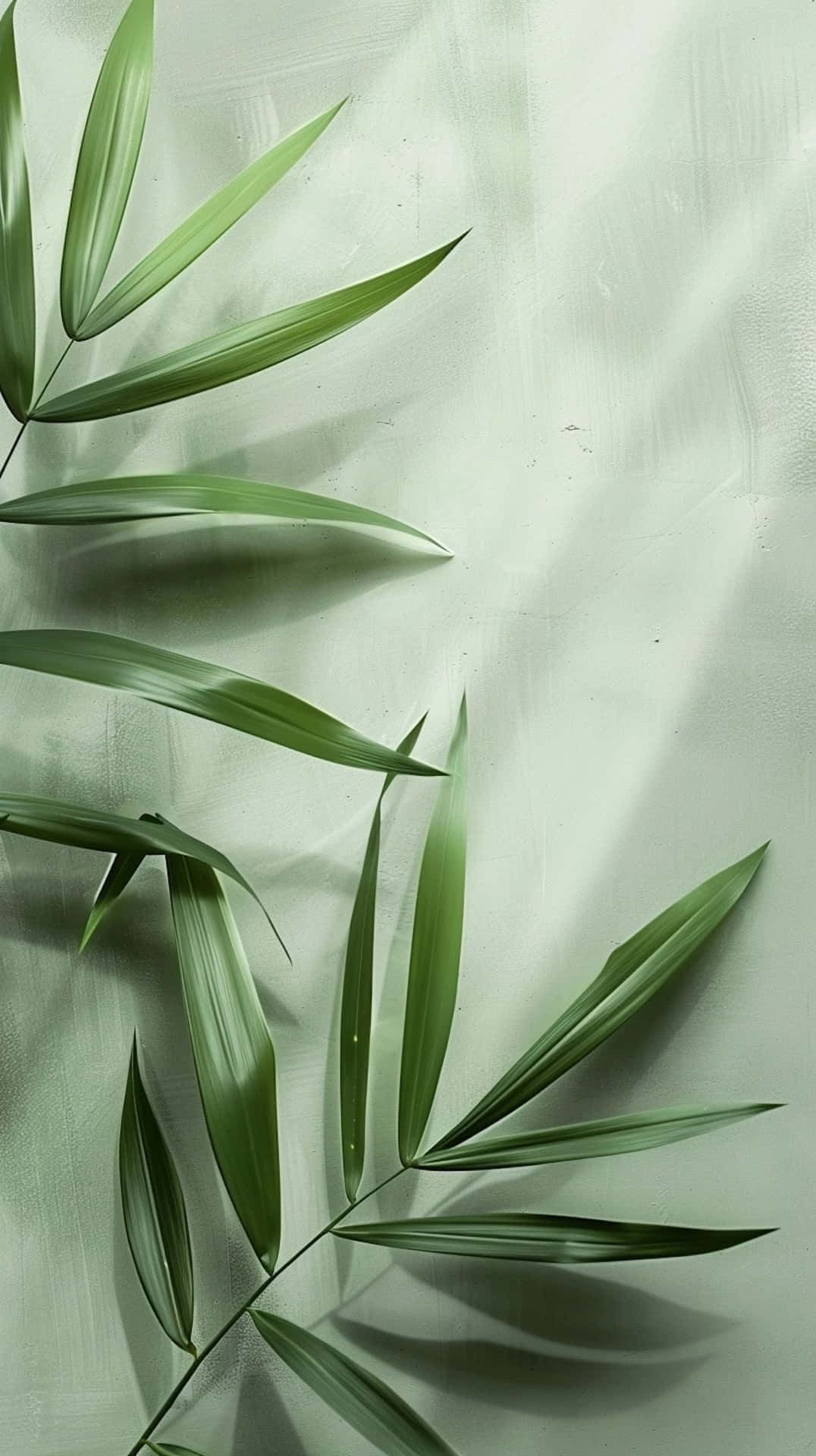Sage Green Leaves Wallpaper Wallpaper