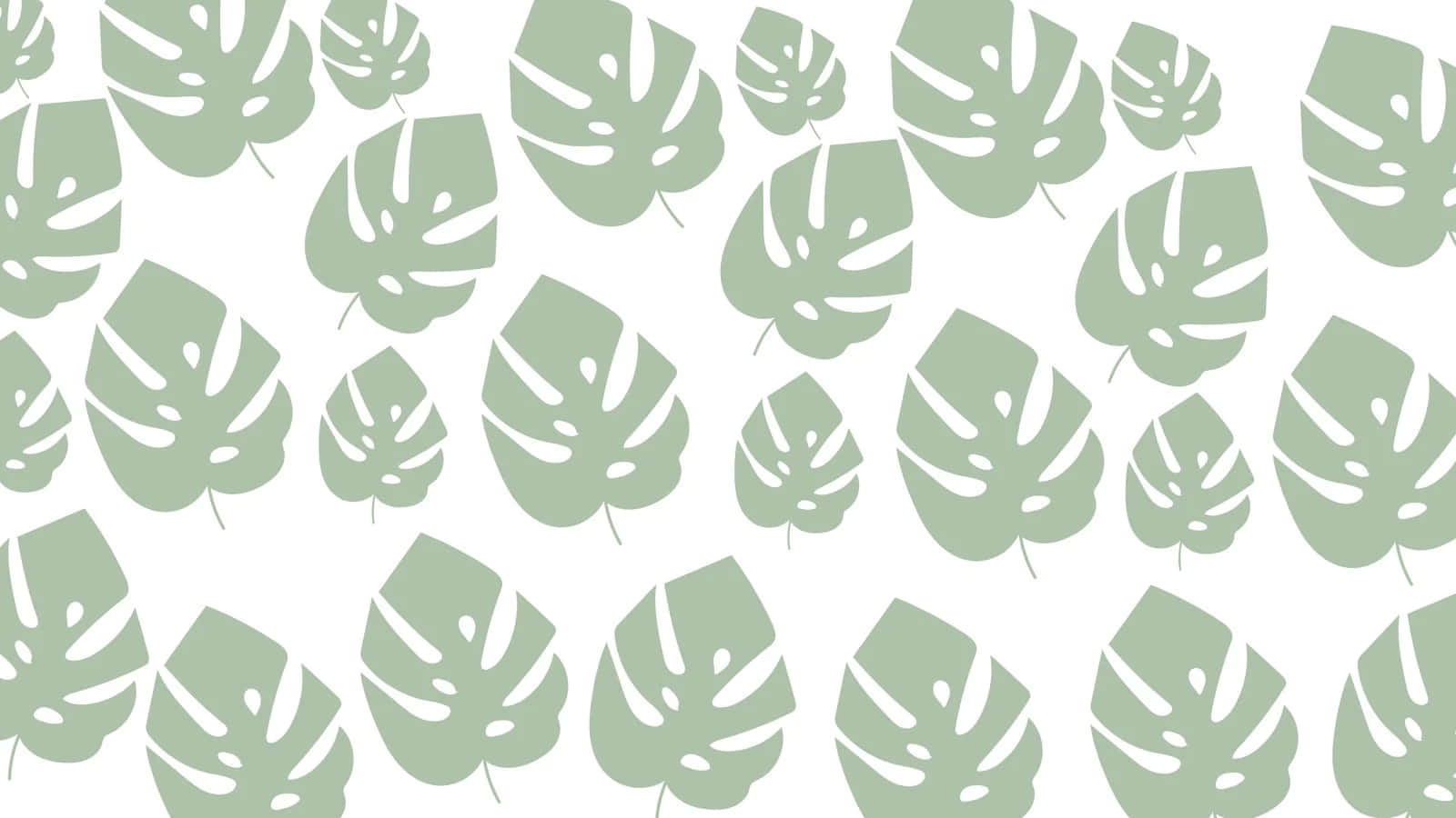 Sage Green Monstera Pattern Wallpaper