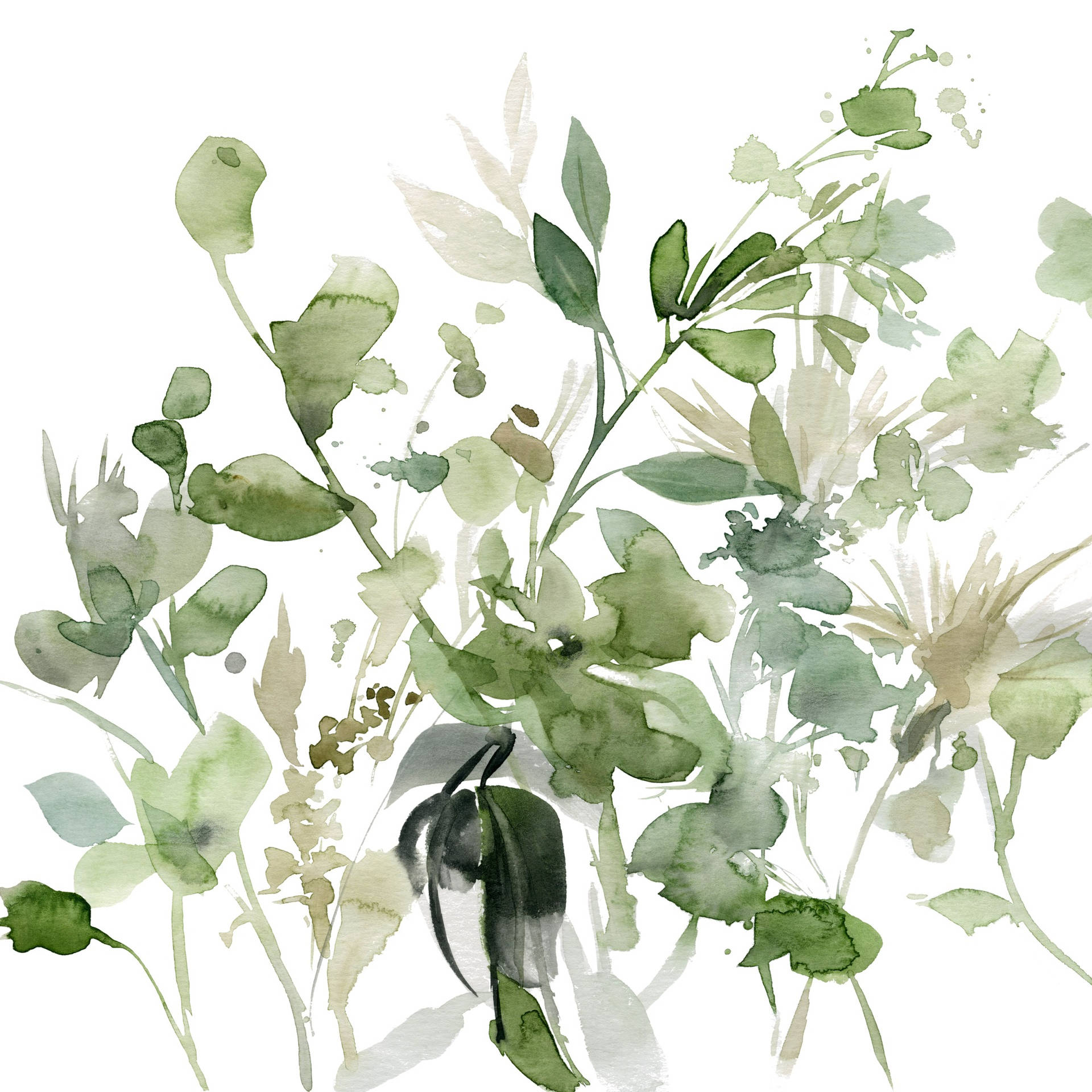 Sage Green Painting Background