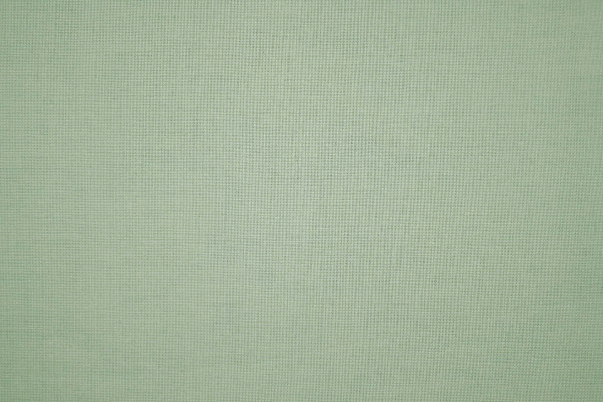Sage green provides a refreshing and calming touch to any room.
