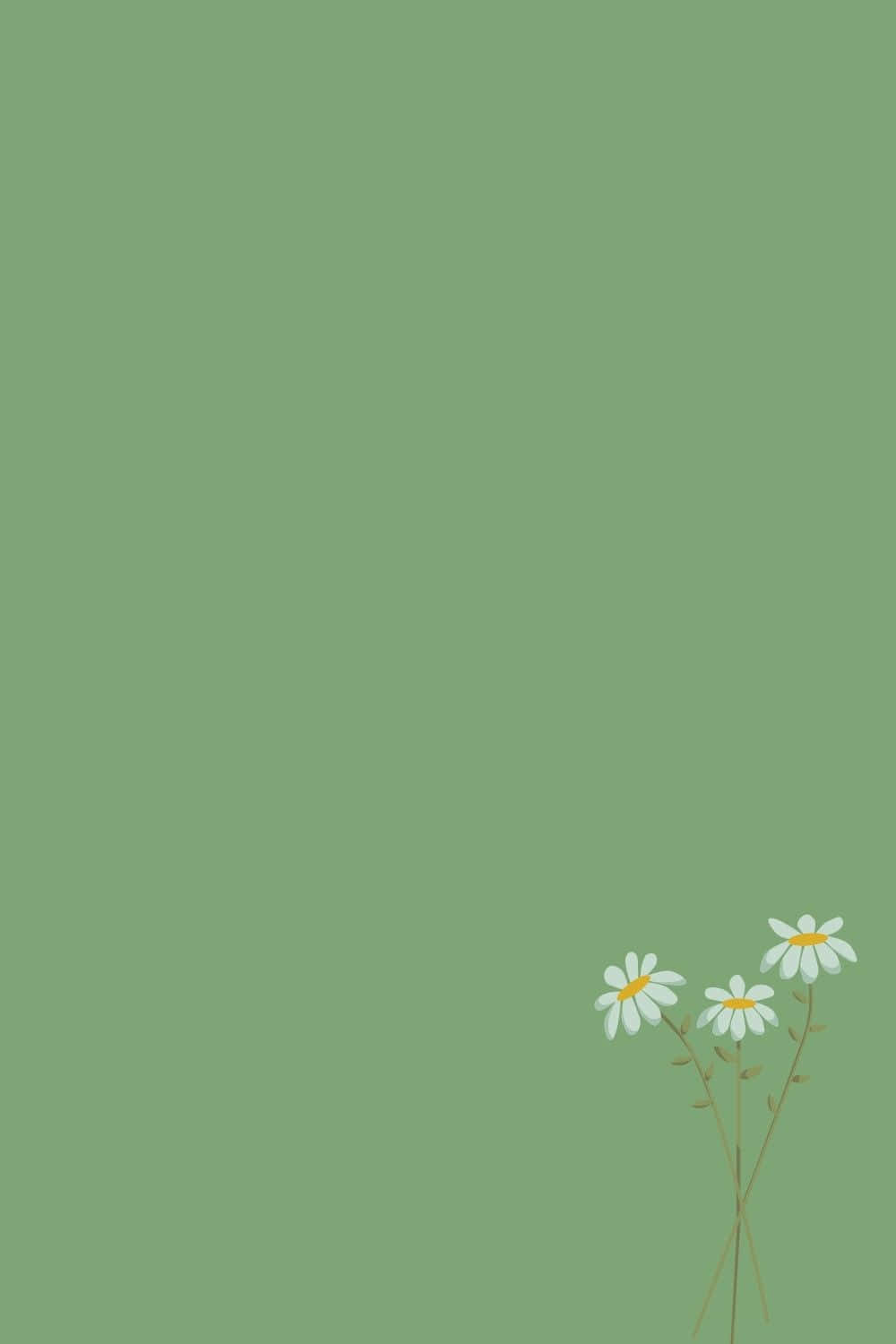 Sage Green Simple Daisy Design Wallpaper