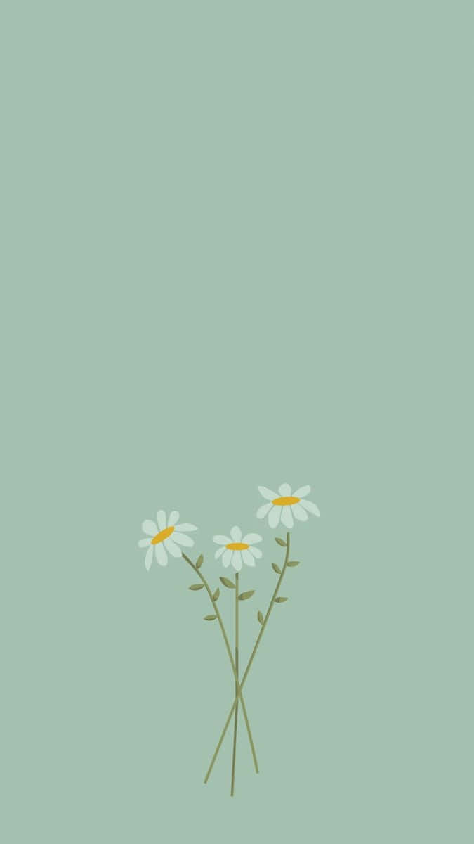Sage Green Simple Daisy Illustration Wallpaper