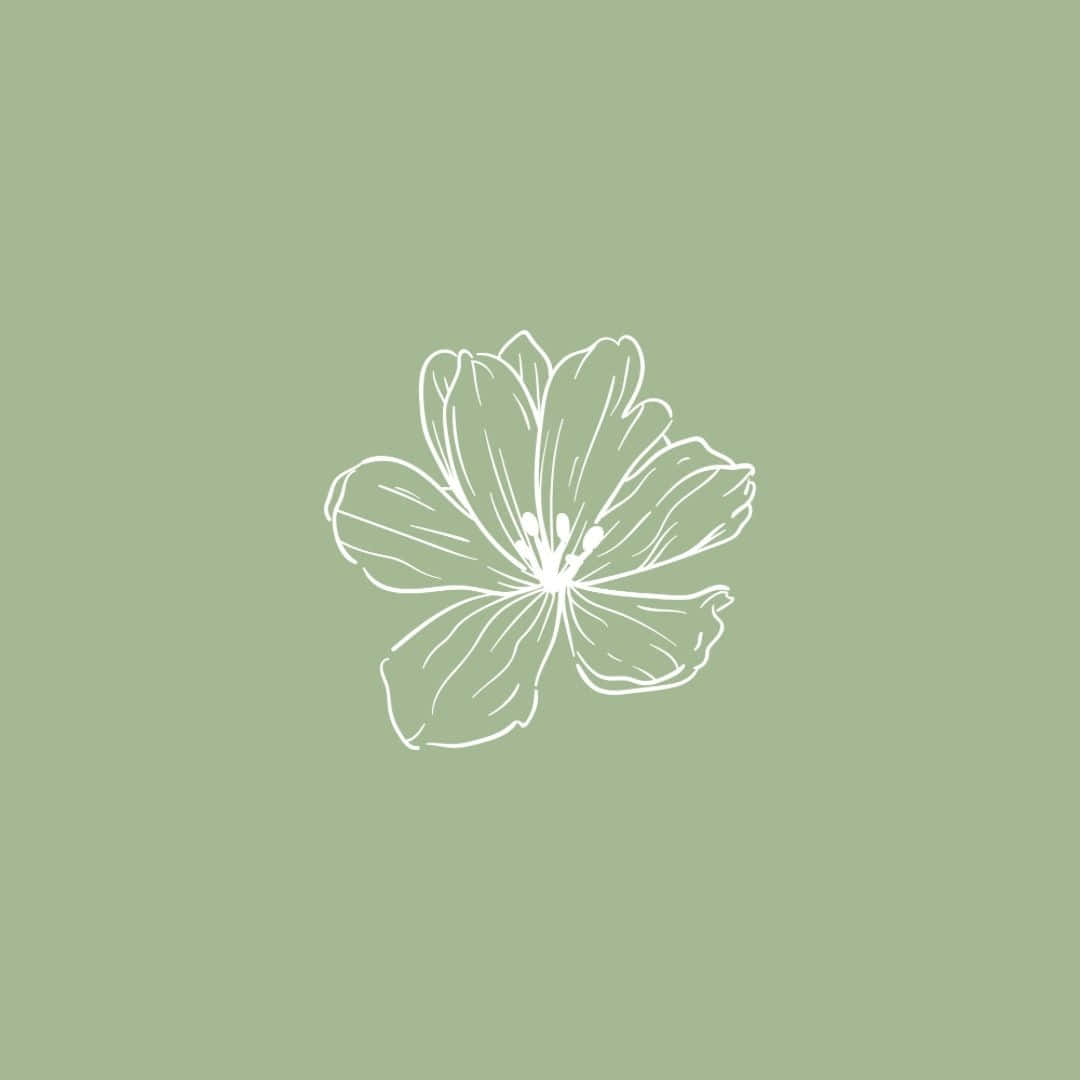 Sage Green Sketch Flower Art Wallpaper