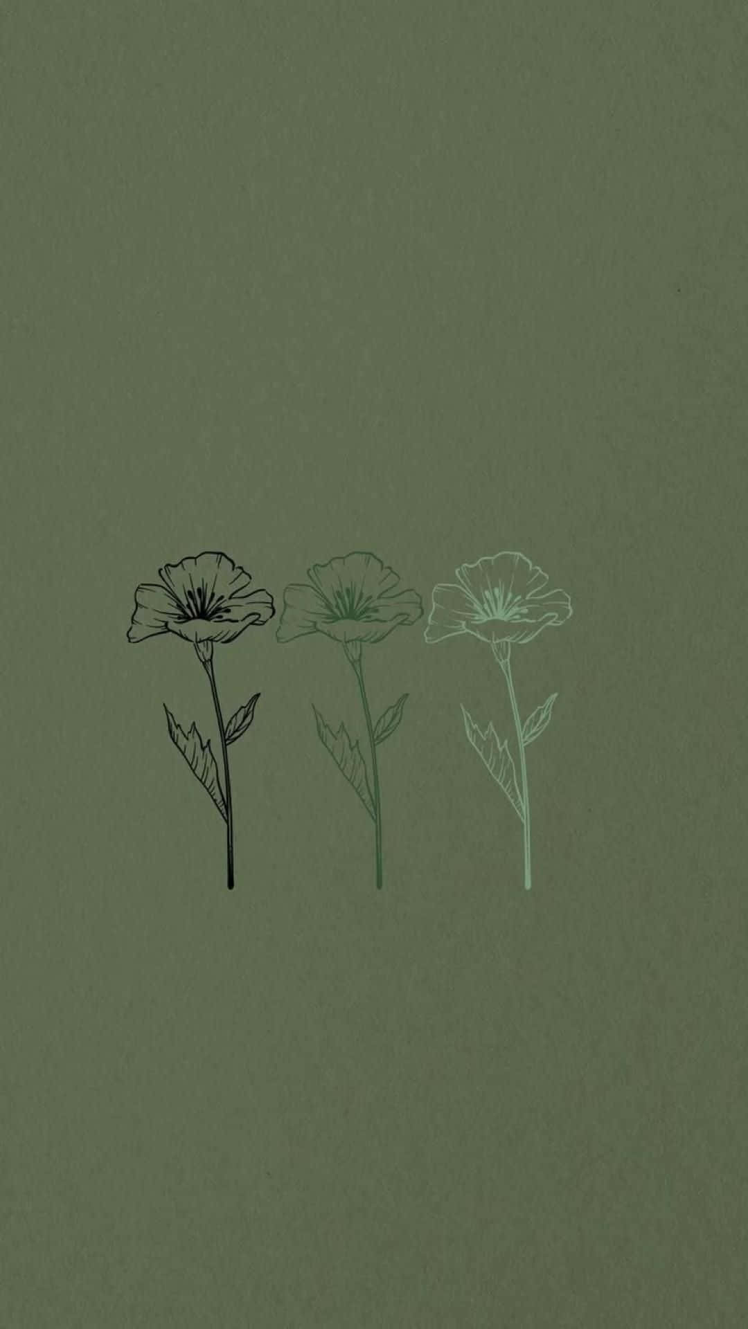 Sage Green Sketch Flowers Aesthetic Wallpaper