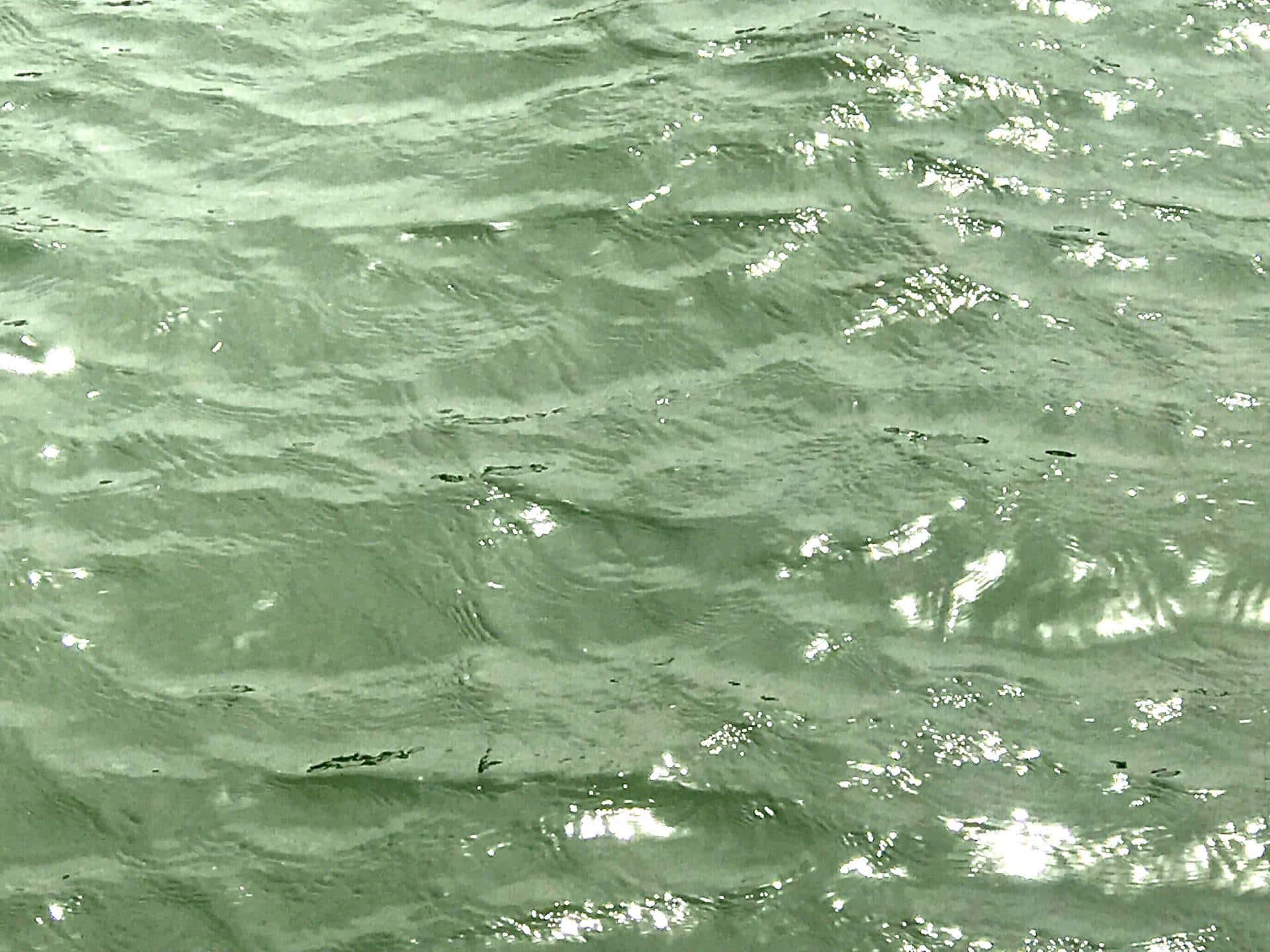 Sage Green Water Texture Wallpaper