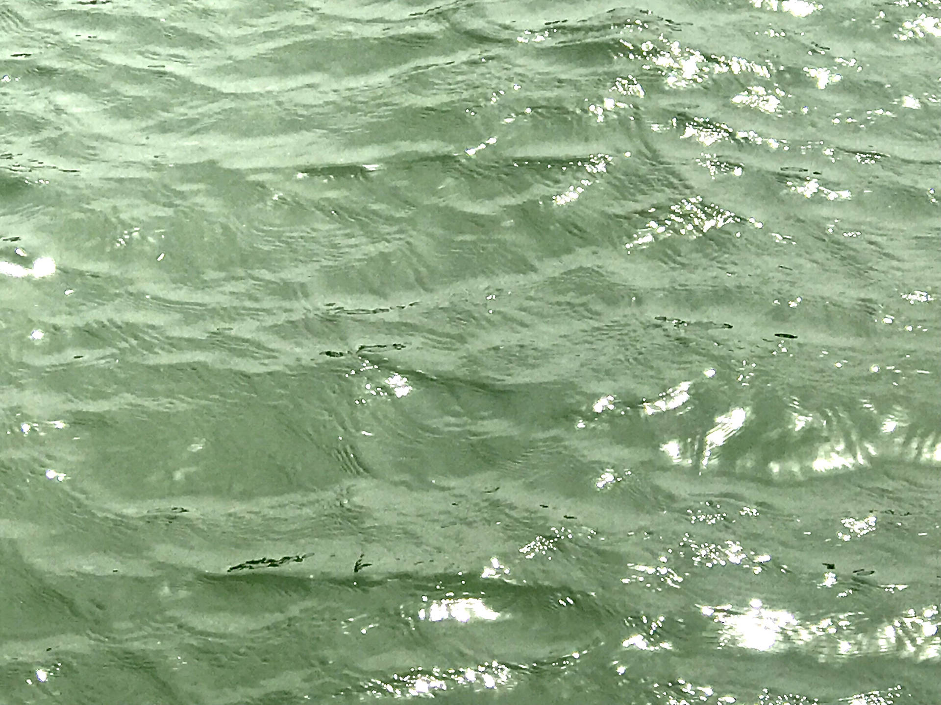 Sage Green Waves Wallpaper