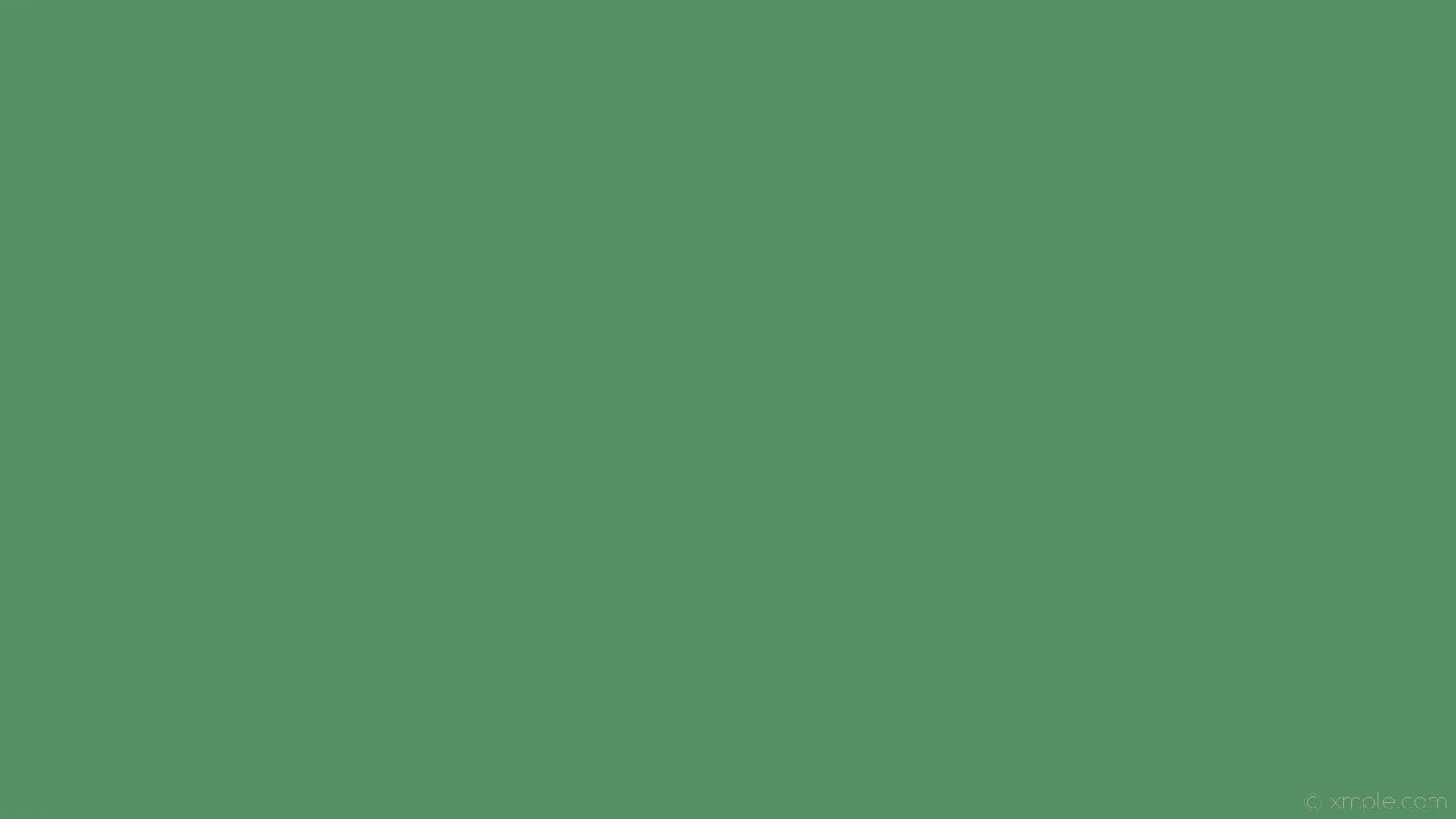 Sage Plain Green Background