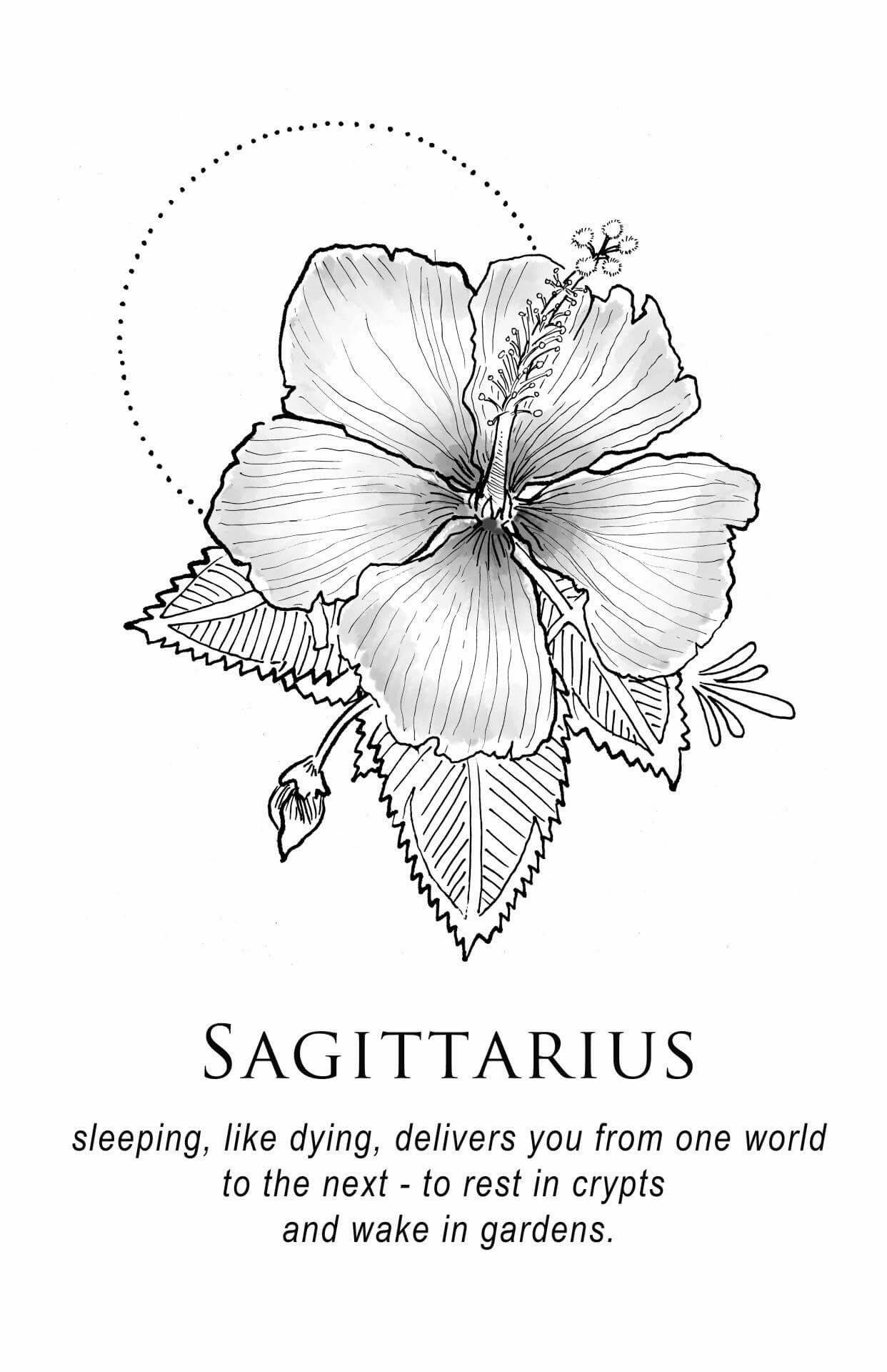 Sagittarius Zodiac Hibiscus Flower Wallpaper