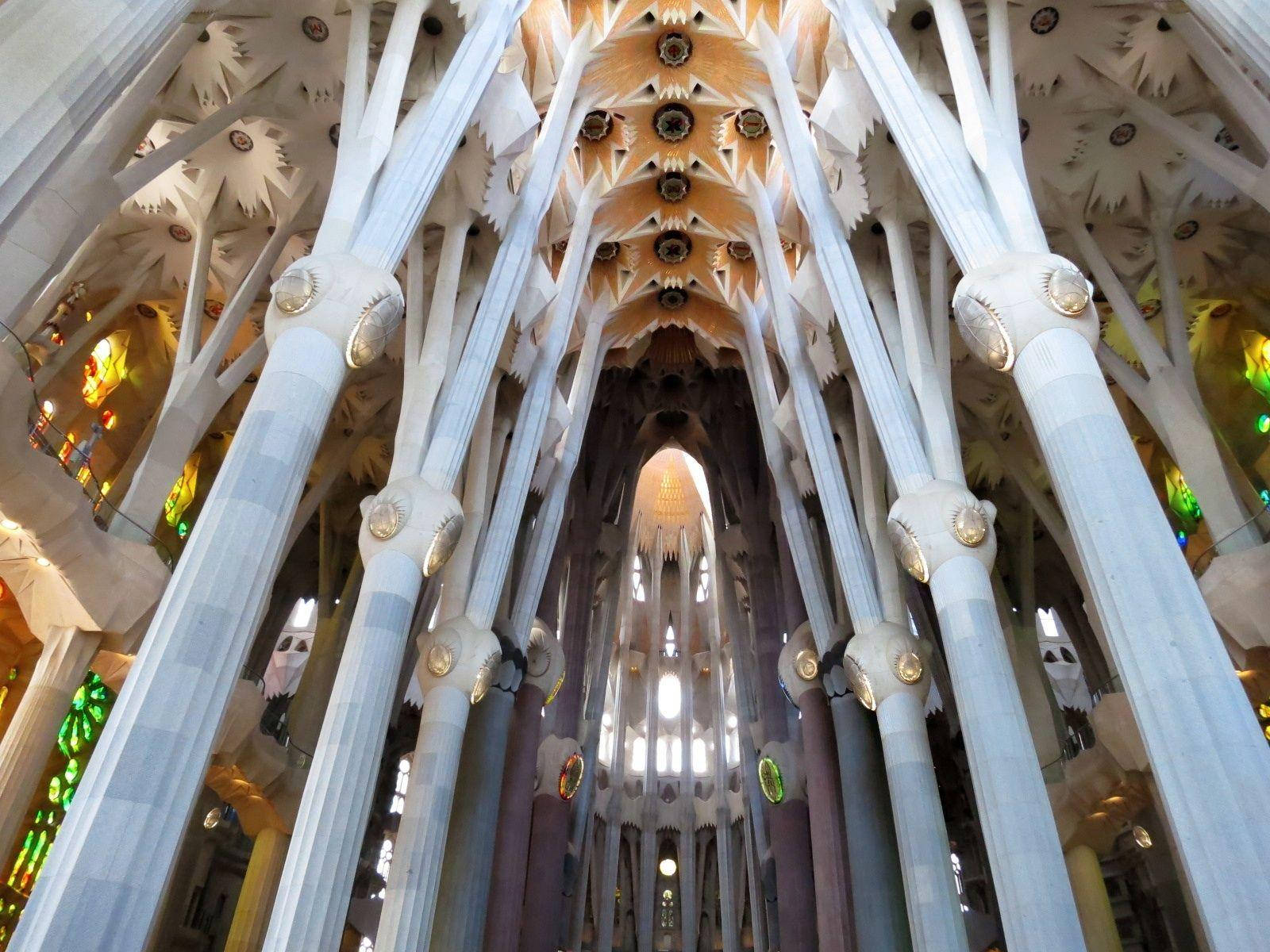 Download Sagrada Familia Interior White Pillars Wallpaper | Wallpapers.com