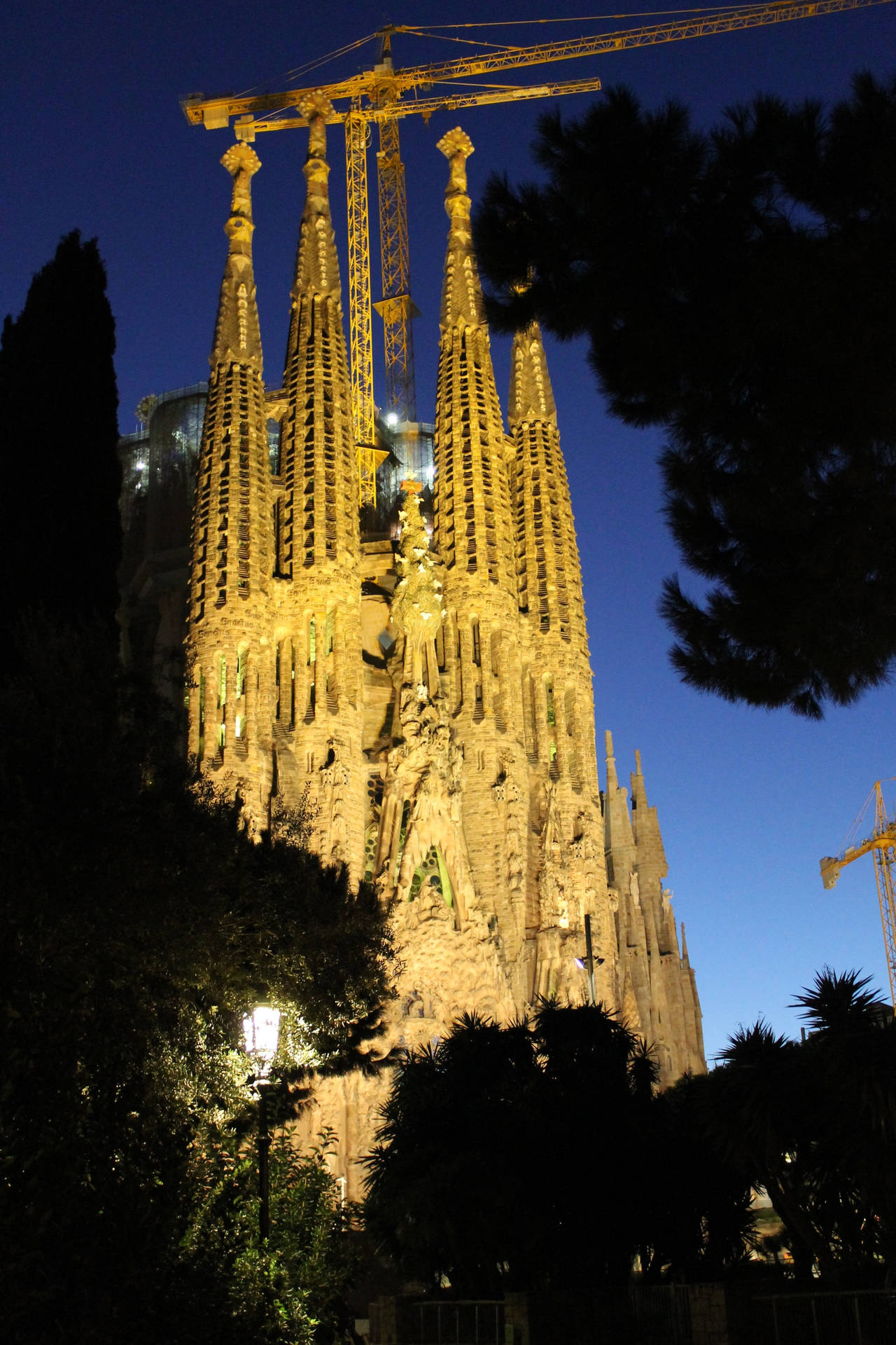 Nat af Sagrada Familia Blokerede Træer Bevægelse Wallpaper