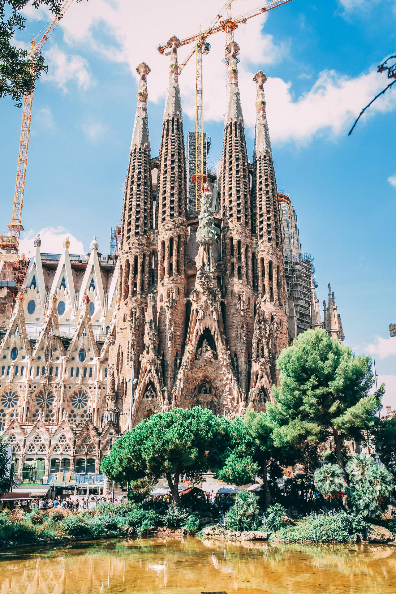 Majestic View of Sagrada Familia Amidst Lush Green Trees Reflecting on Pond Wallpaper