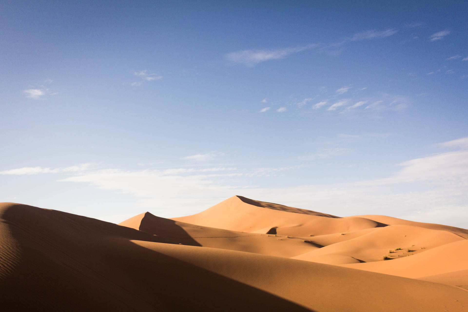 Ørken brun sand felt Wallpaper