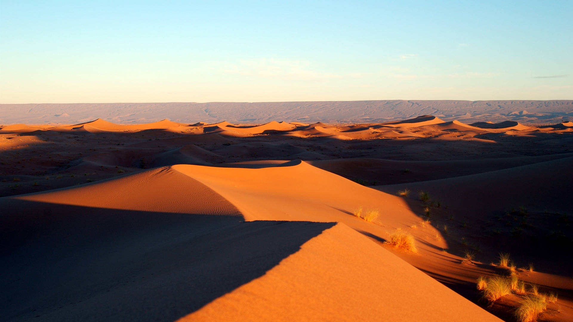 Sahara Desert Africa 4k Background