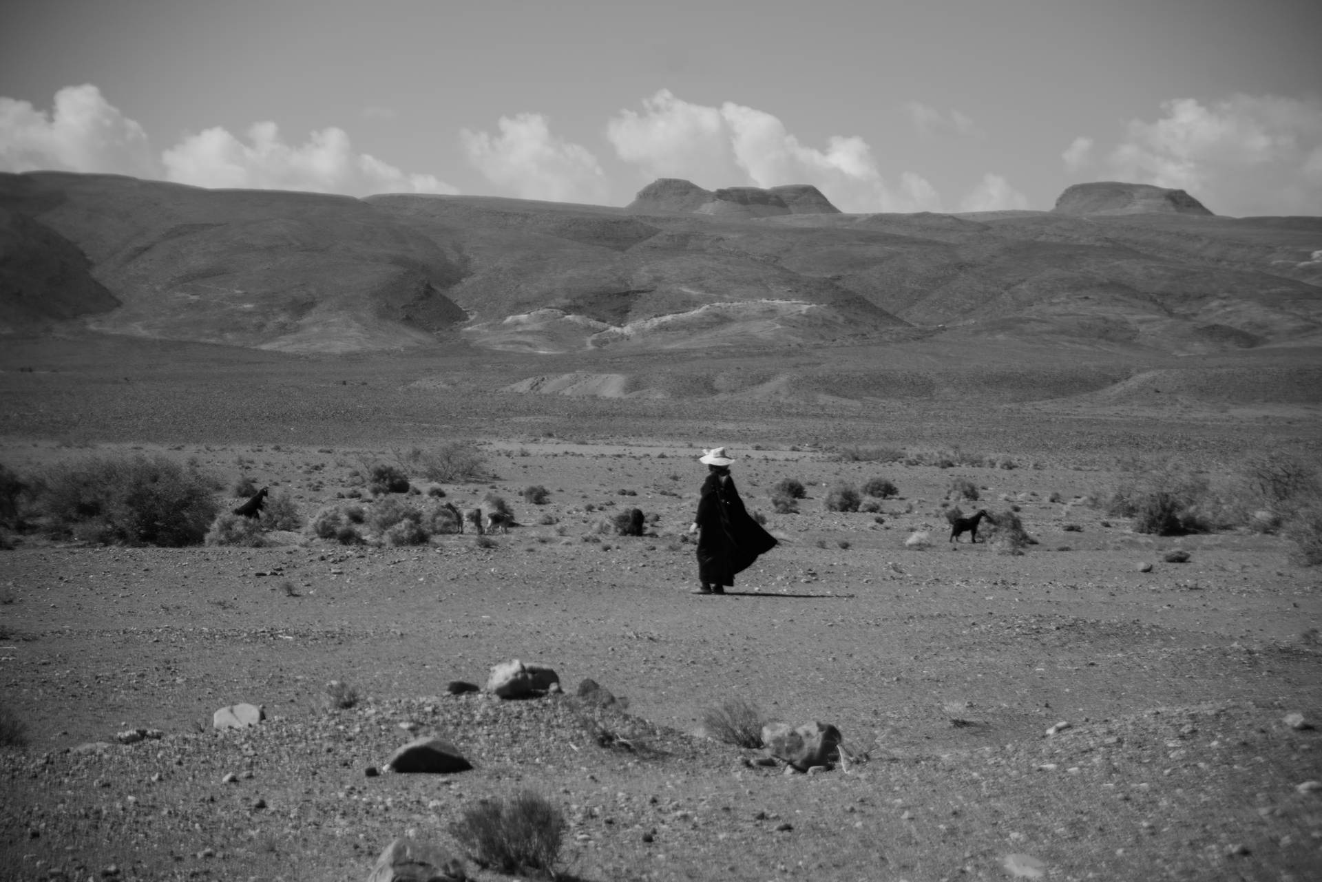 Desiertodel Sahara En Blanco Y Negro. Fondo de pantalla