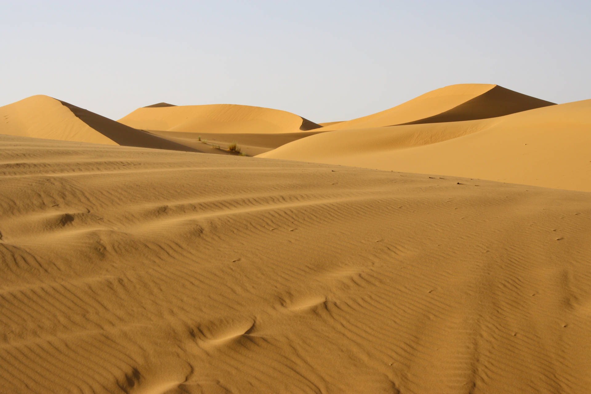 Hauptattraktionder Sahara-wüste Wallpaper