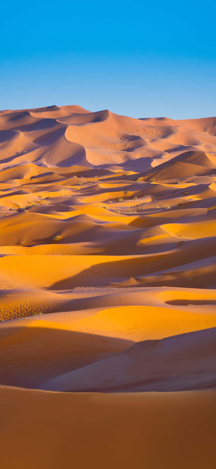 Download Sahara Desert Sand Dunes Wallpaper 