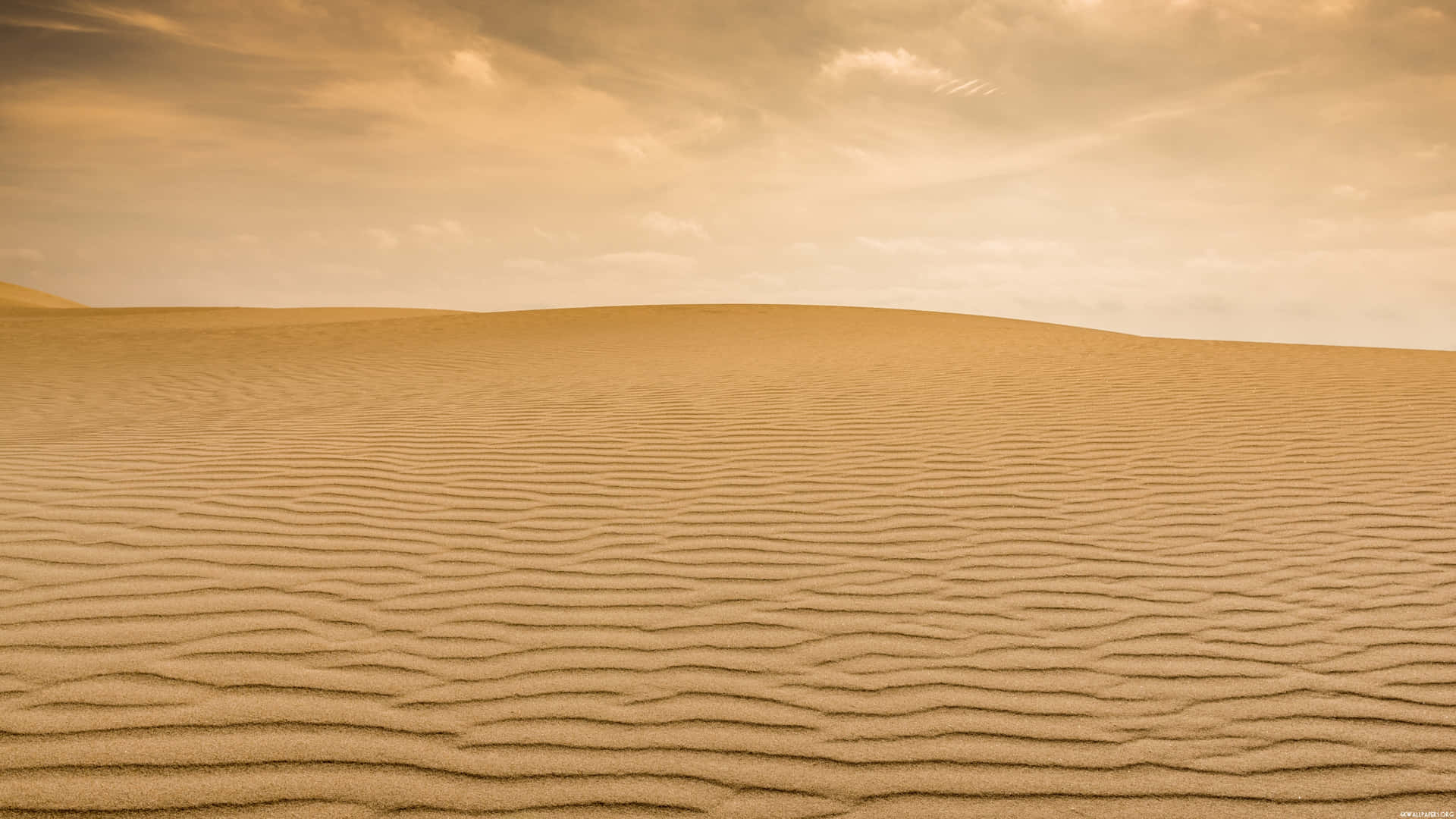 Sahara Desert Sand Horizon Wallpaper