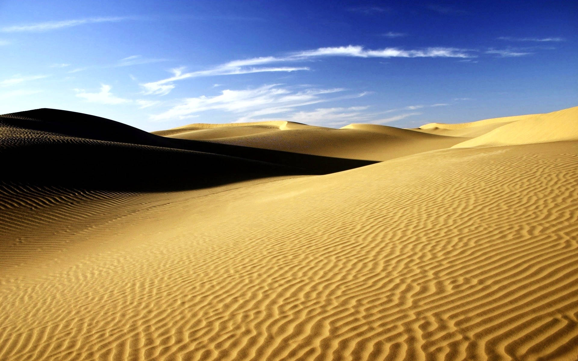 Sahara Desert Sand Ripples Wallpaper