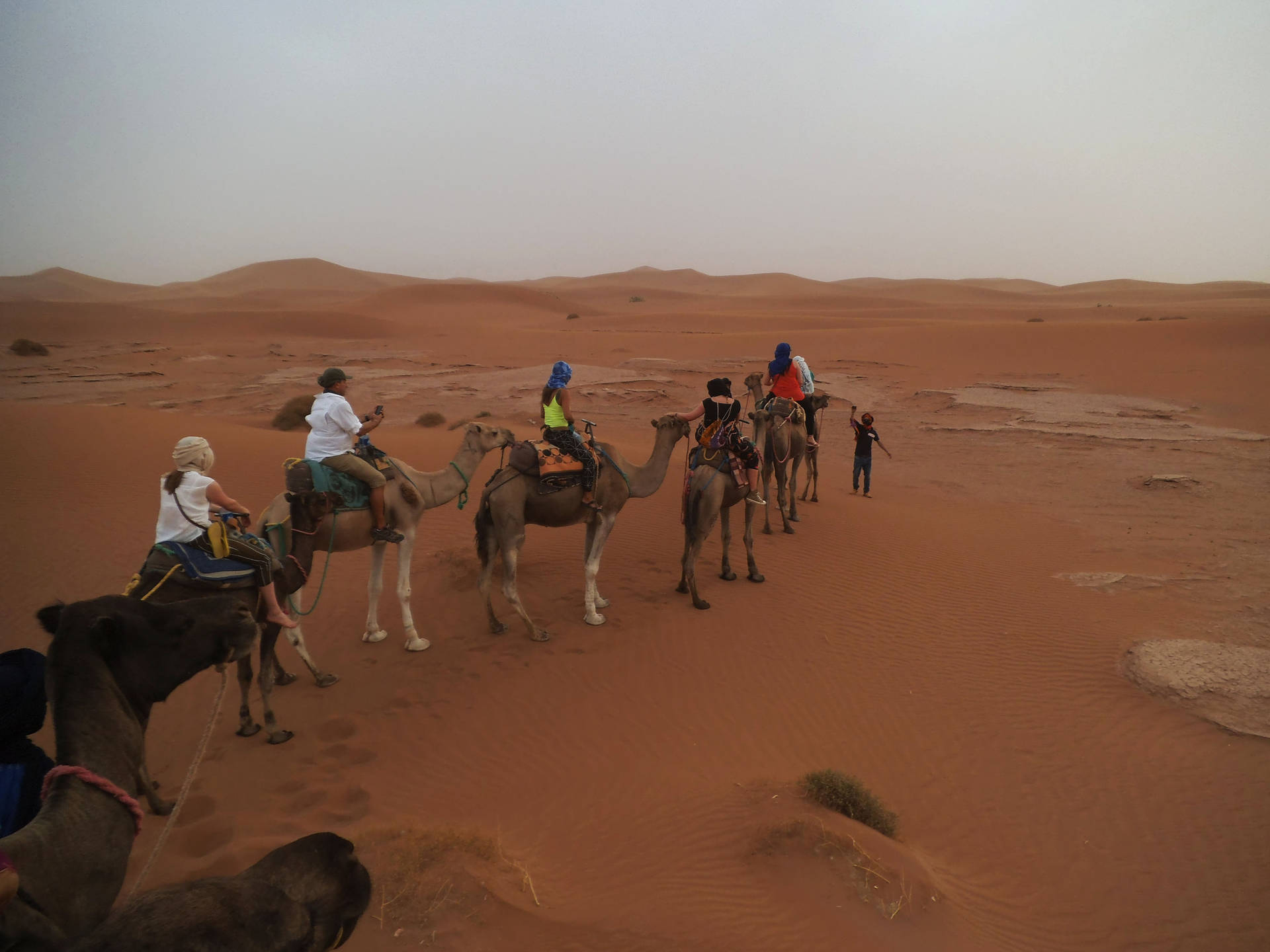 Viajeal Desierto Del Sahara Fondo de pantalla