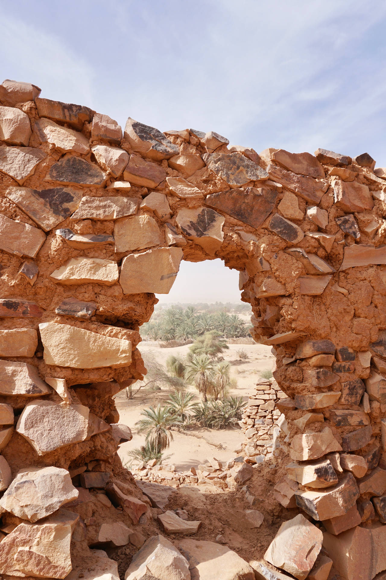 Sahara-ørkenen Oase Wallpaper