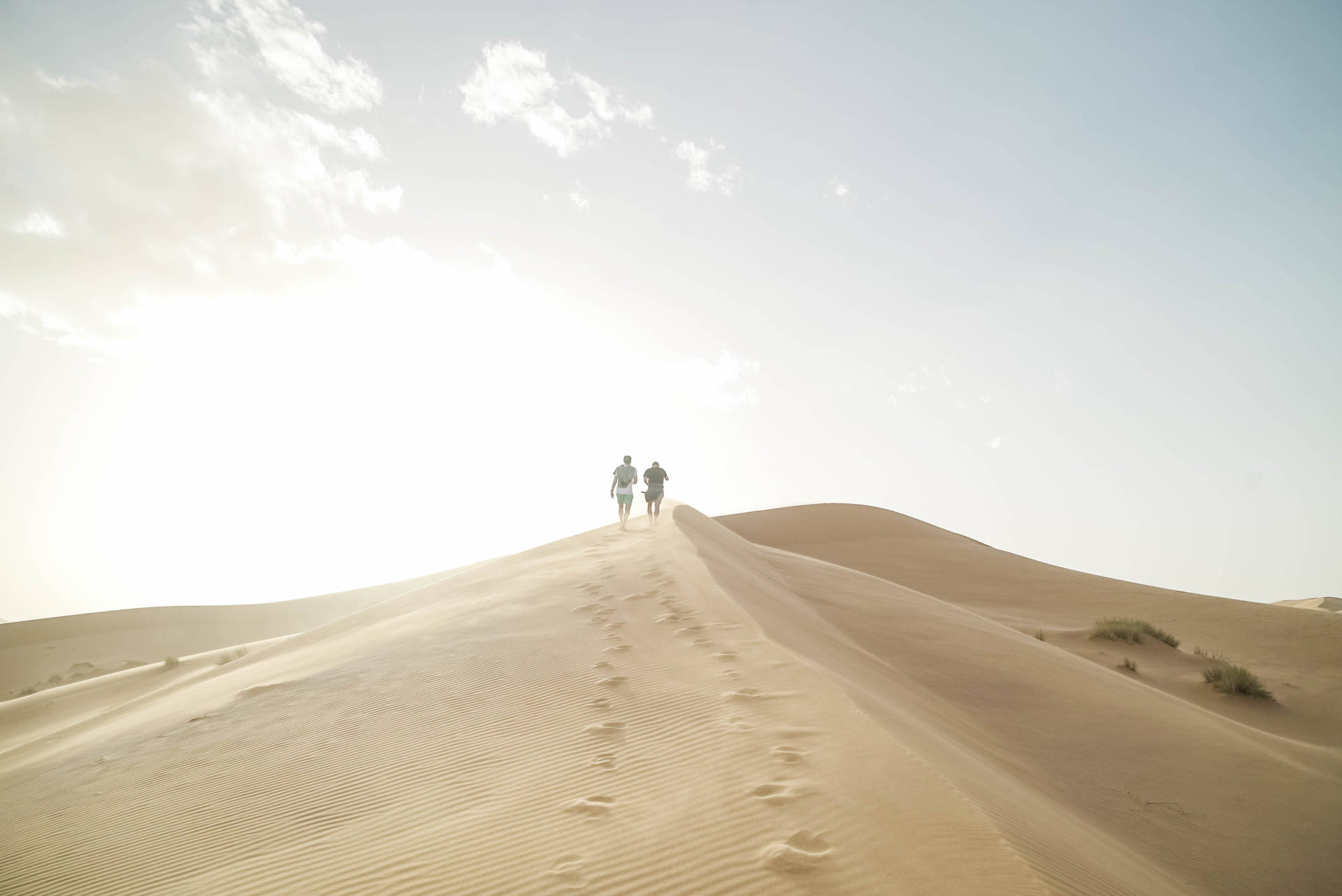 Sahara Sand Dunes Eventyr Wallpaper