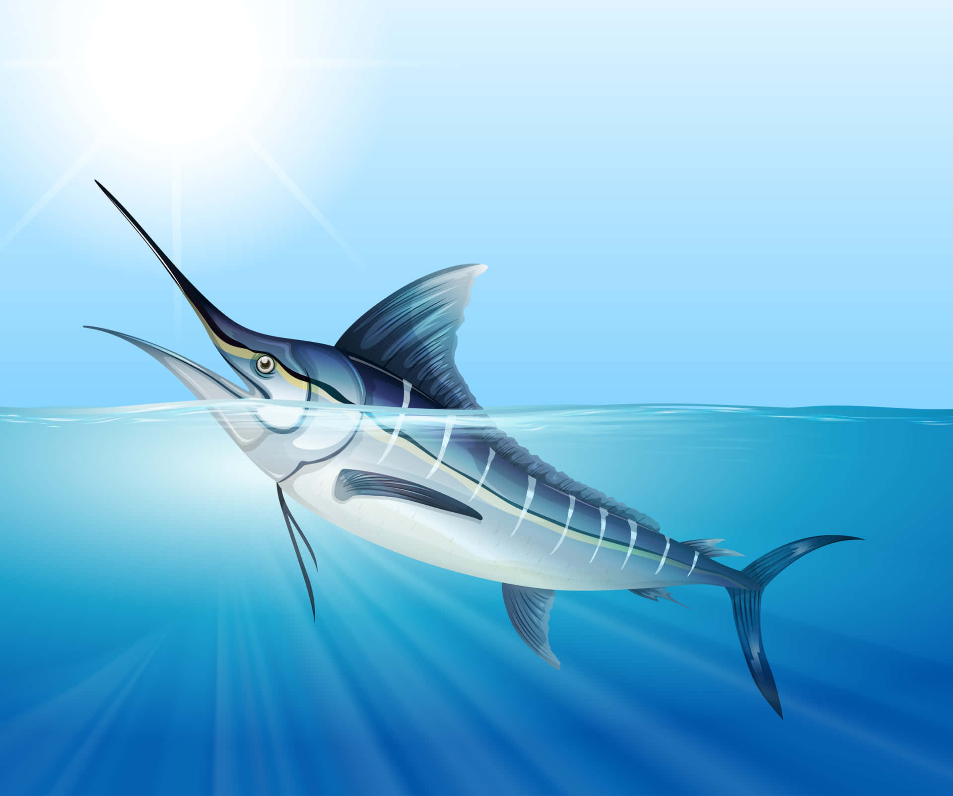 A Sailfish Leaps from the Ocean