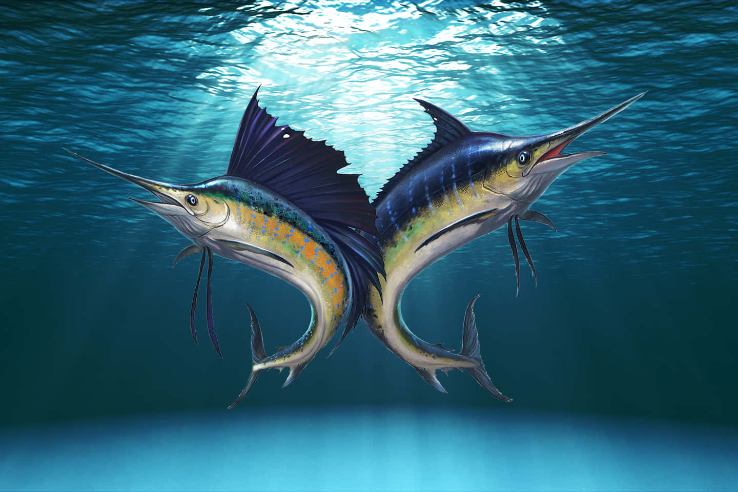 Download A Sailfish jumping out of the sea.