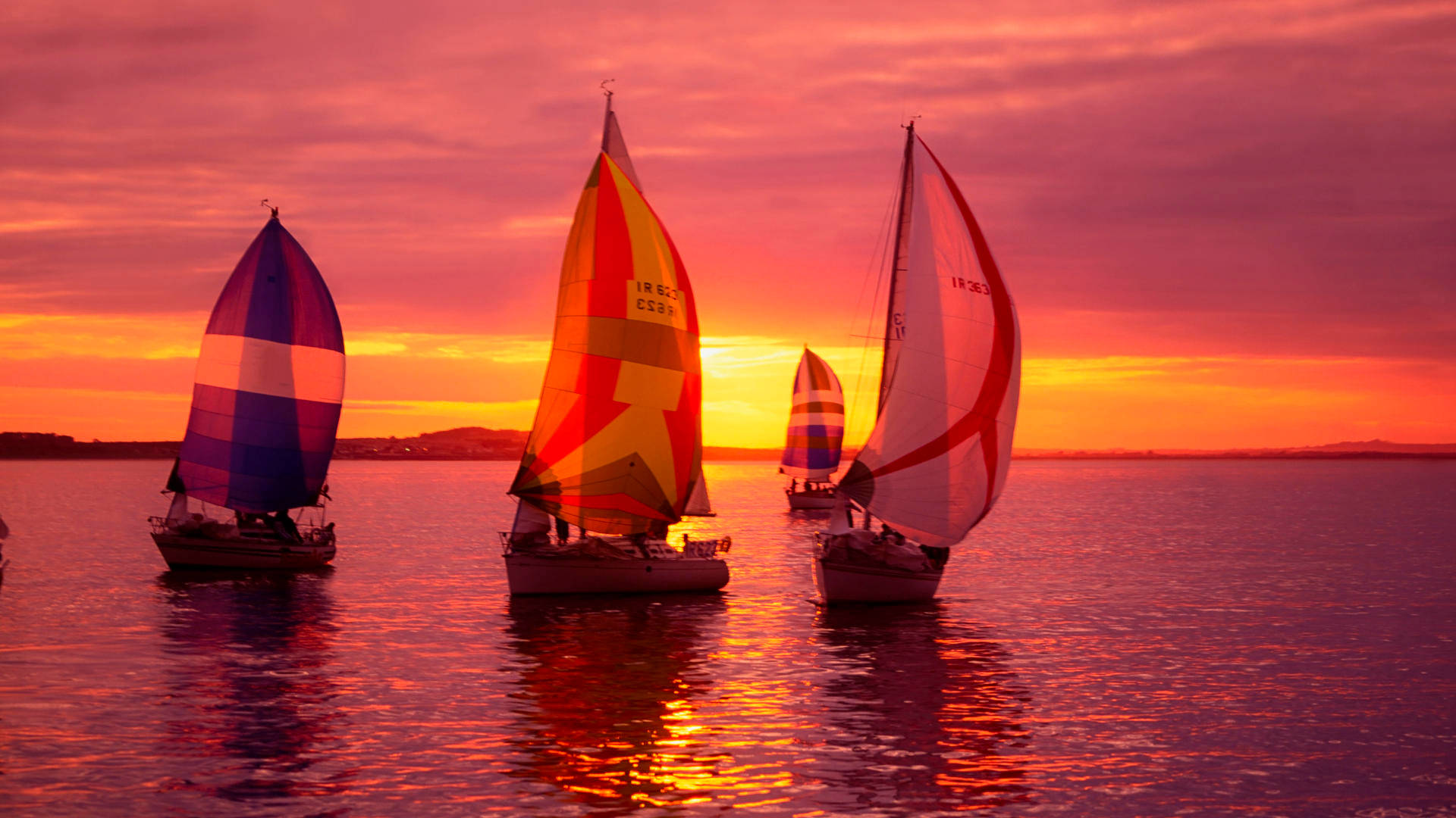 Sailing Sailboats With Colorful Sails Wallpaper