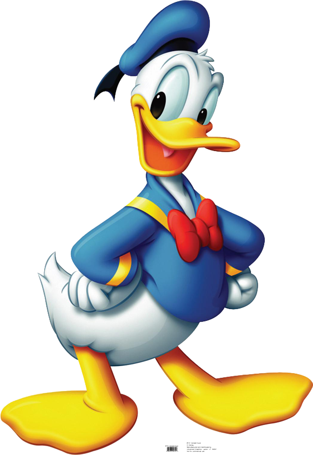 Sailor Duck Cartoon Character PNG