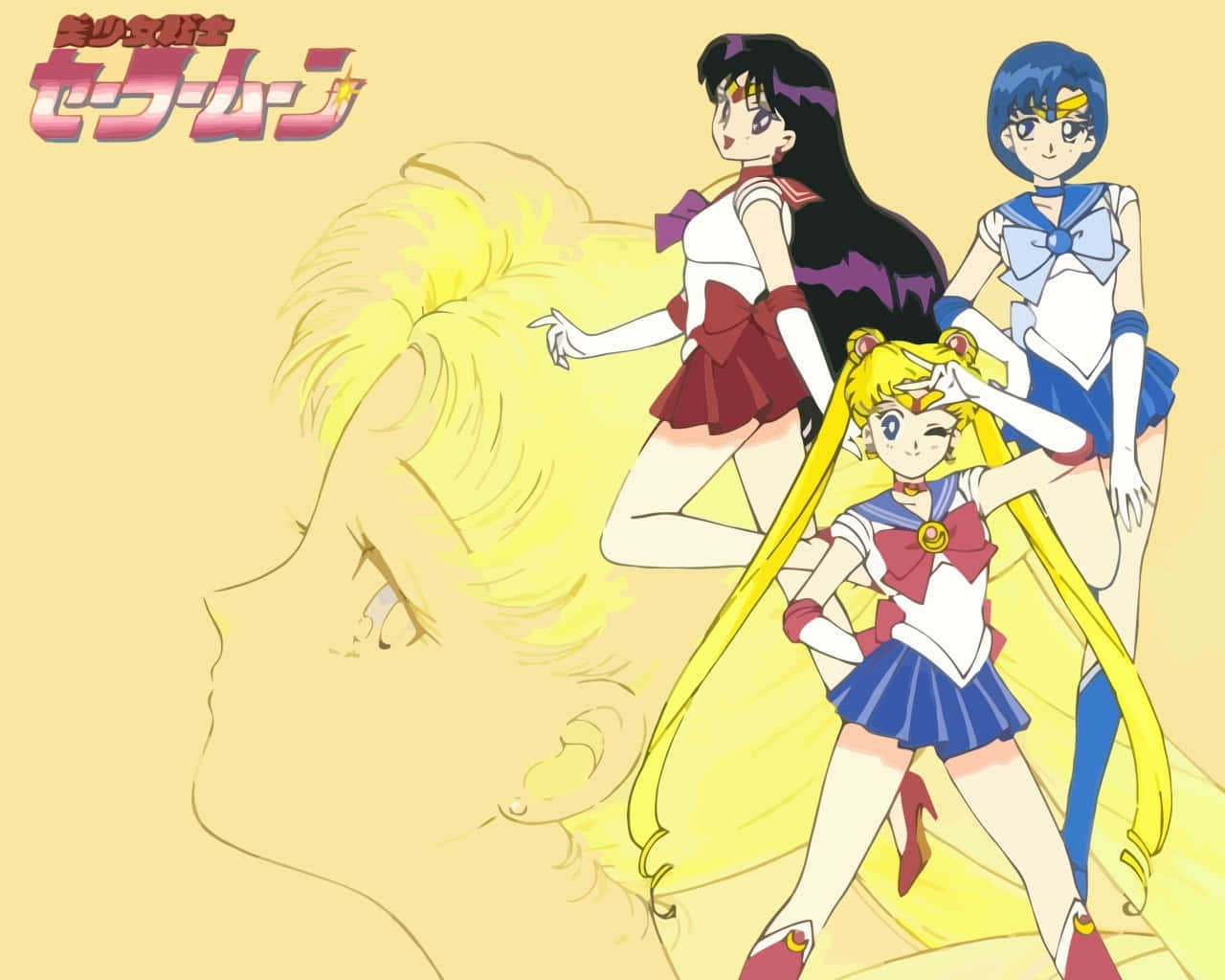 Klassischeranime-krieger, Sailor Moon