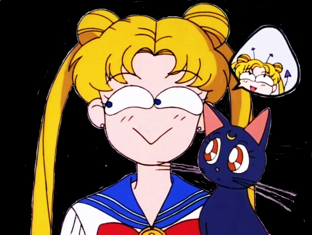 Sailor Moonand Luna Winking PNG