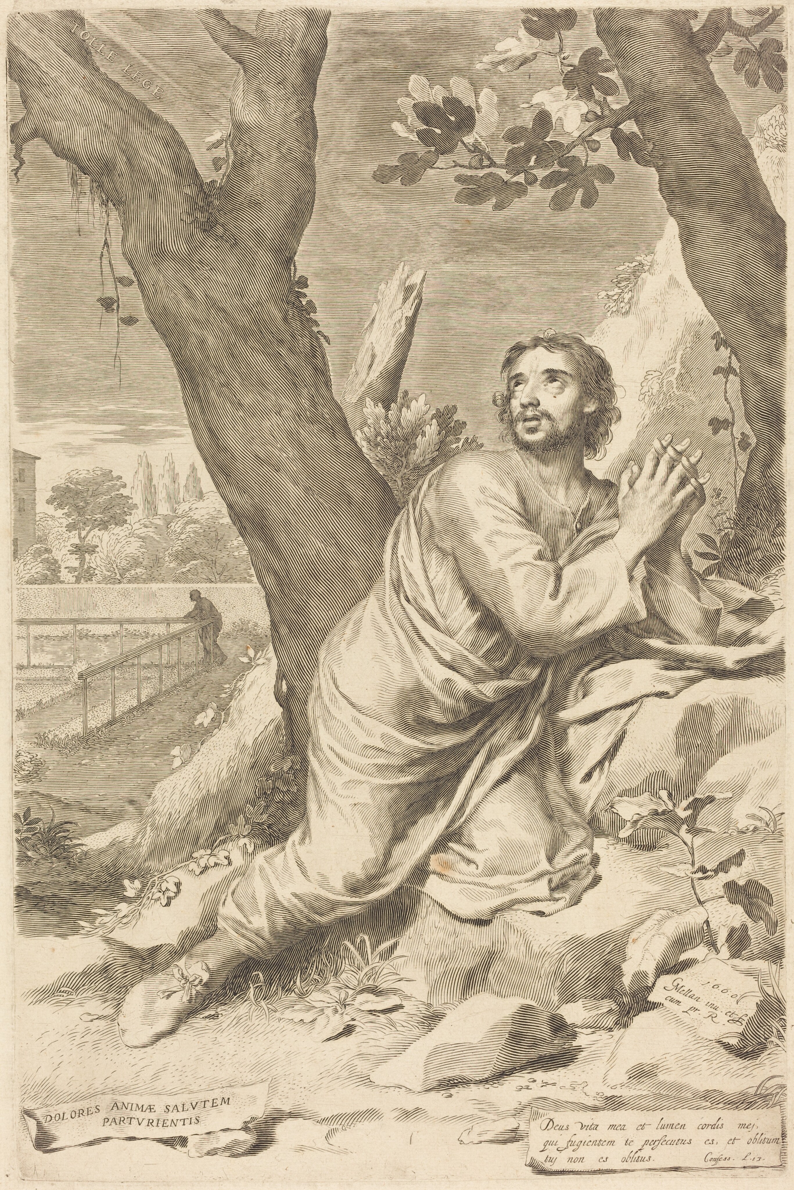 Saint Augustine Wallpaper