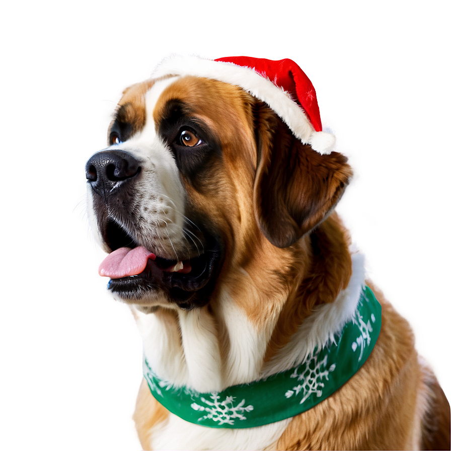 Saint Bernard In Festive Gear Png 71 PNG