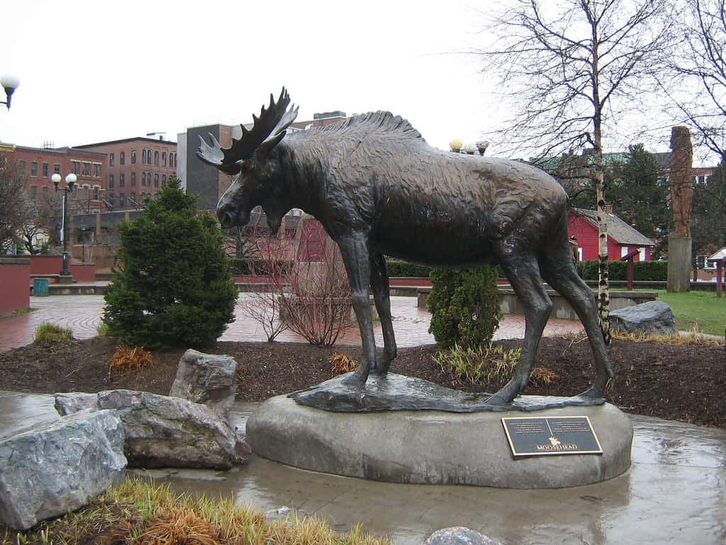 Patung Moose Saint John Wallpaper