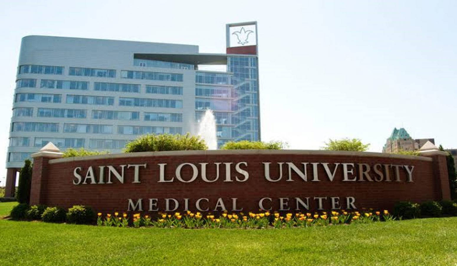 Logo Sign Saint Louis University Medical Center Indtryk Wallpaper Wallpaper