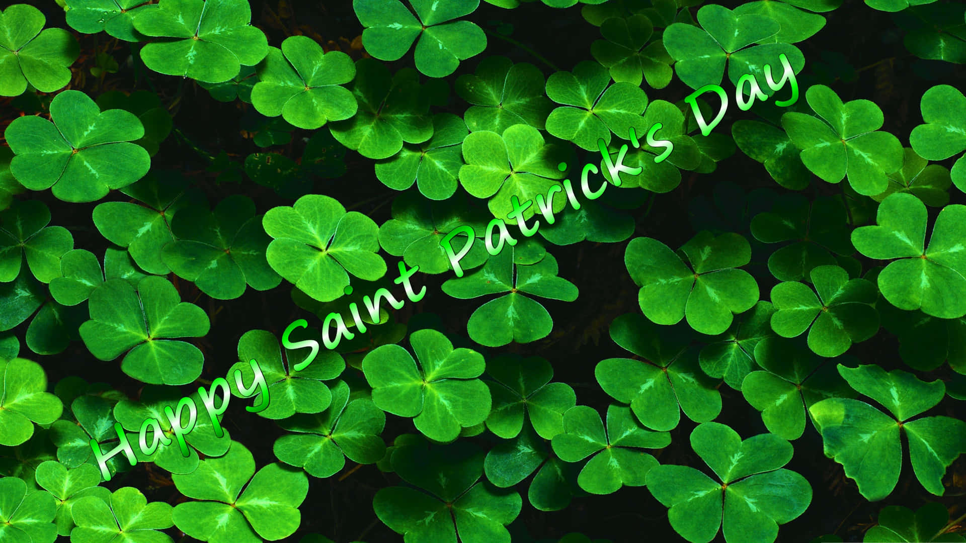 Saint Patricks Day Clover Backdrop Wallpaper