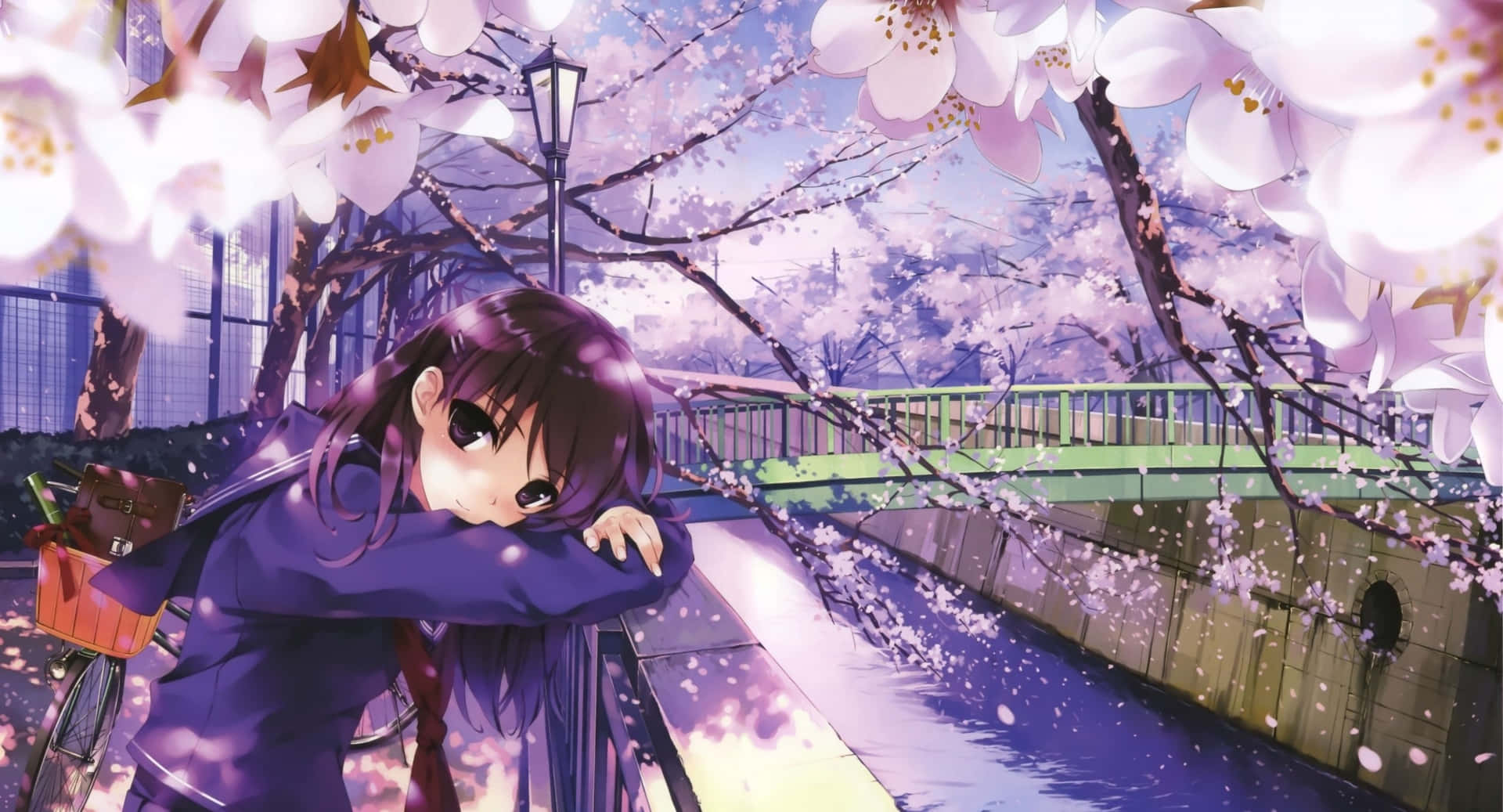 En pige sidder på en bro under kirsebærblomster. Wallpaper
