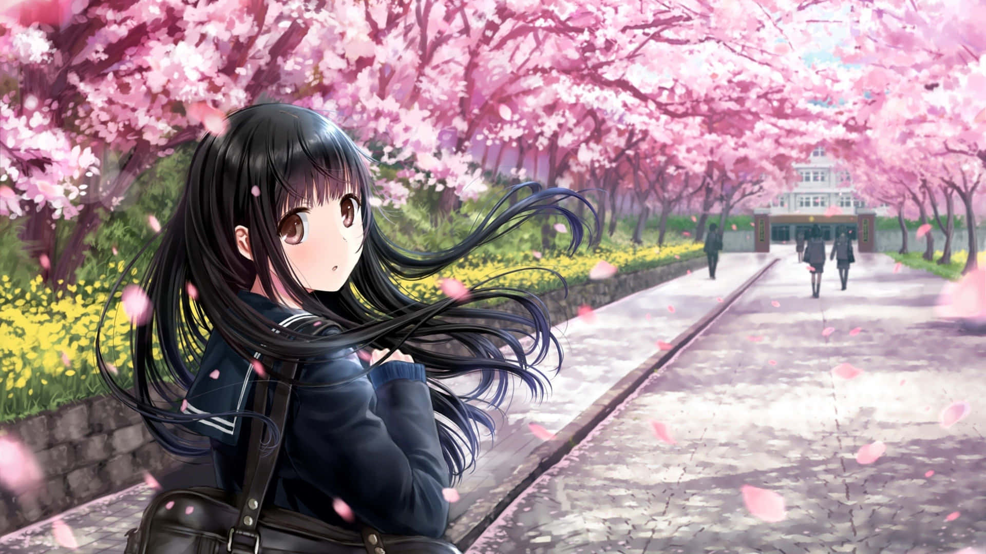 Sakura Anime 3840 X 2160 Wallpaper