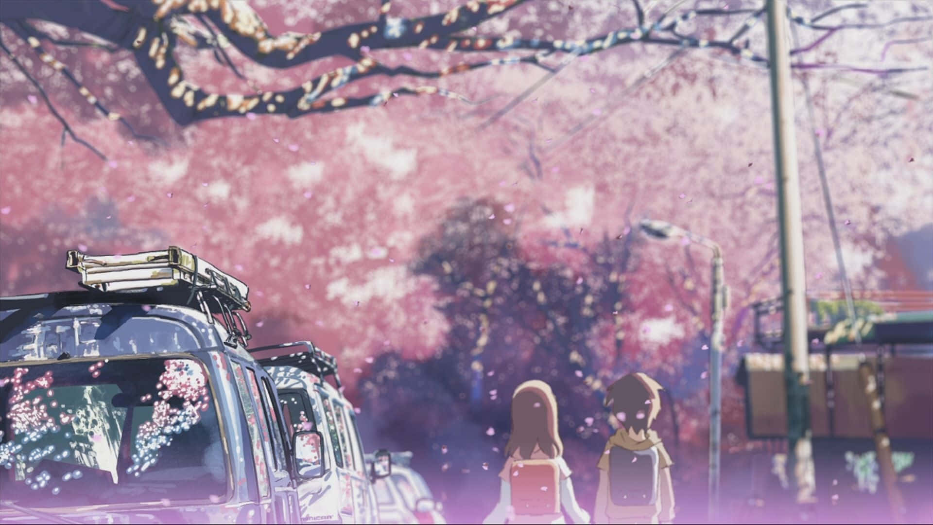 Download Let Magical Sakura Anime Transport You to a New World! Wallpaper |  