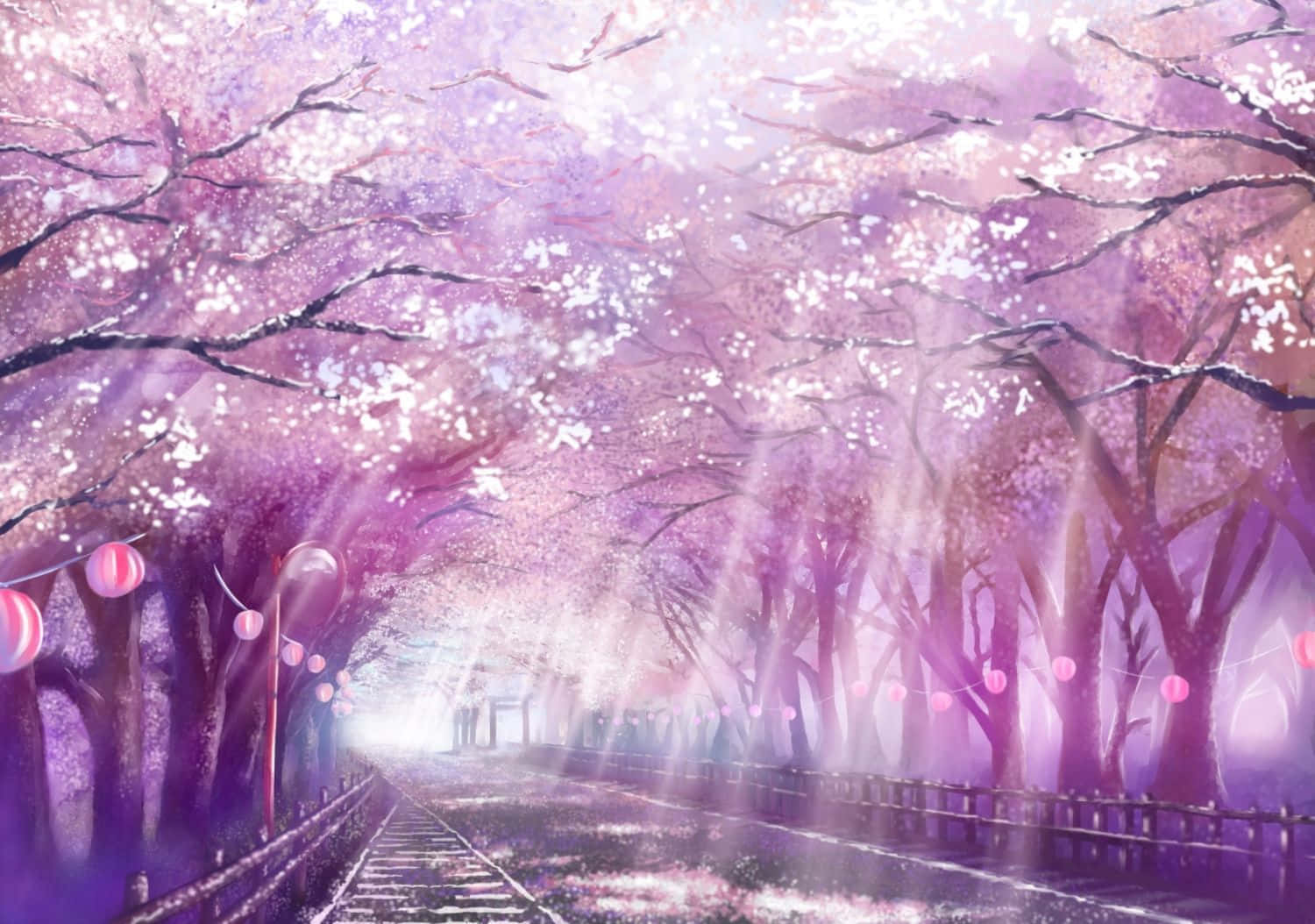 Aesthetic Pink Sakura Anime Trees Scenery Wallpaper