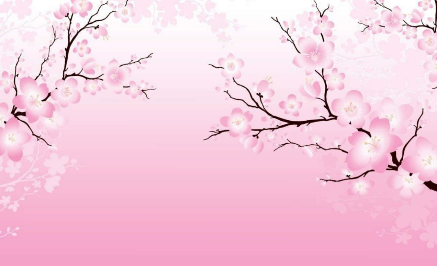Floresde Sakura Anime En Tonos Rosados Y Simples. Fondo de pantalla
