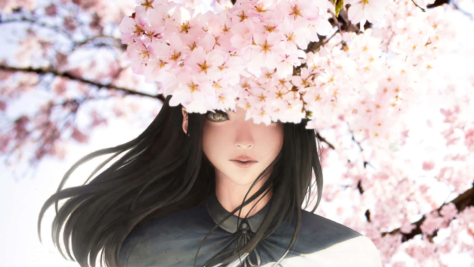 Vackersvart Hårig Tjej Med Anime Blommor Av Sakura. Wallpaper